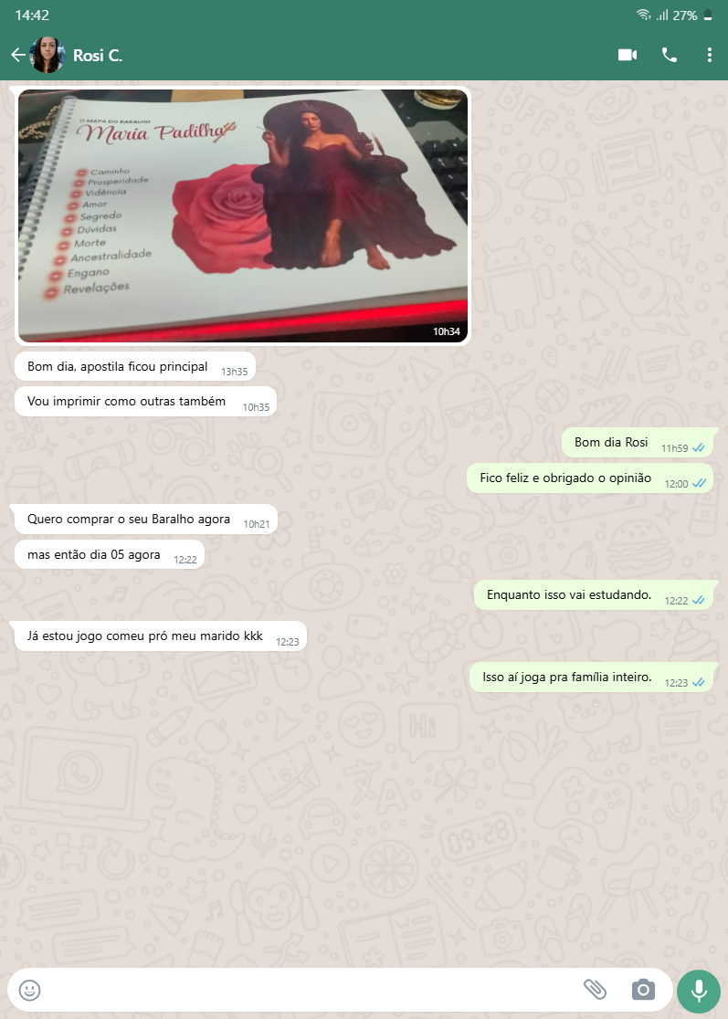 chats-whatsapp-spR4nqcUtGyHb49nQcUbJu (5)